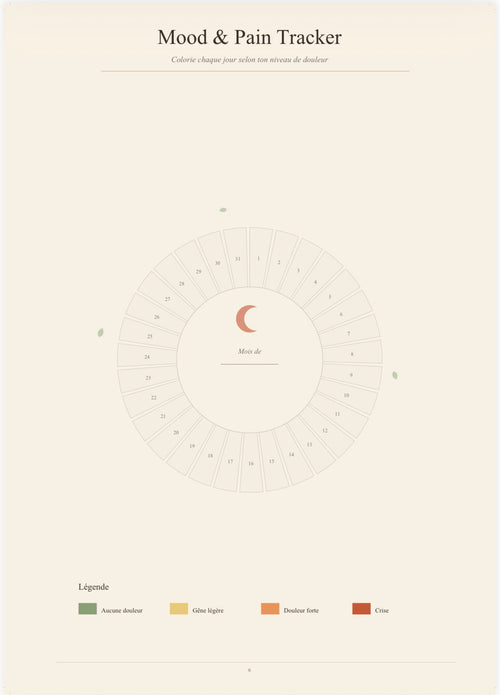 Planner numerique  Endométriose – Organiser ses symptômes et ses cycles